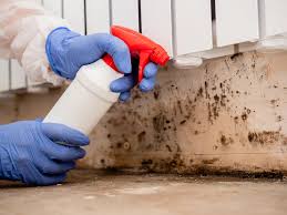 Asbestos and Lead Testing During Mold Inspection in Pleasant View, TN